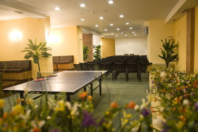 Kamelia Hotel - Business facilities